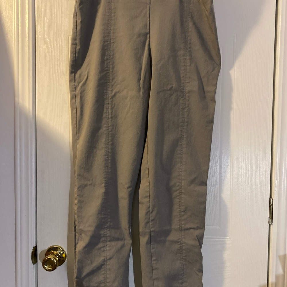 Zac & Rachel Modern Fit Trouser Pant Women's Size 14 Gray Stretch Pull On NWOT